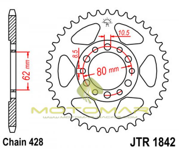 CORONA JT 1842 DE ACERO CON 37 DIENTES