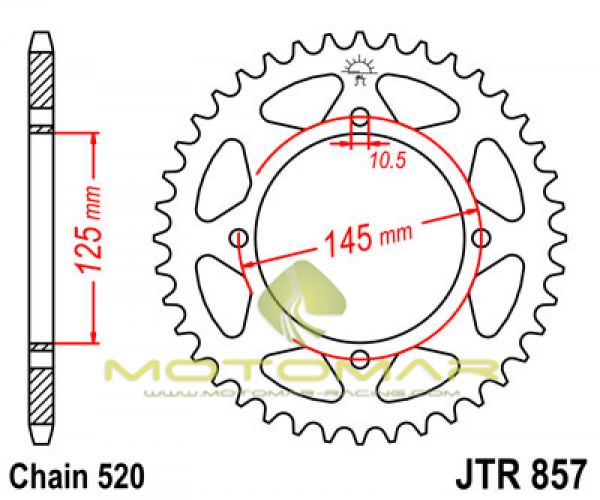 CORONA JT 857 DE ACERO CON 39 DIENTES